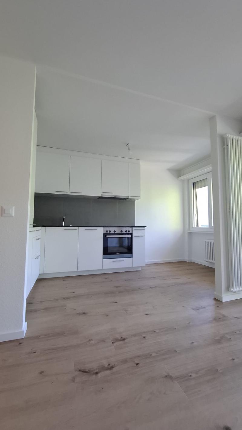 Appartement 2 pièces entièrement rénové (2)