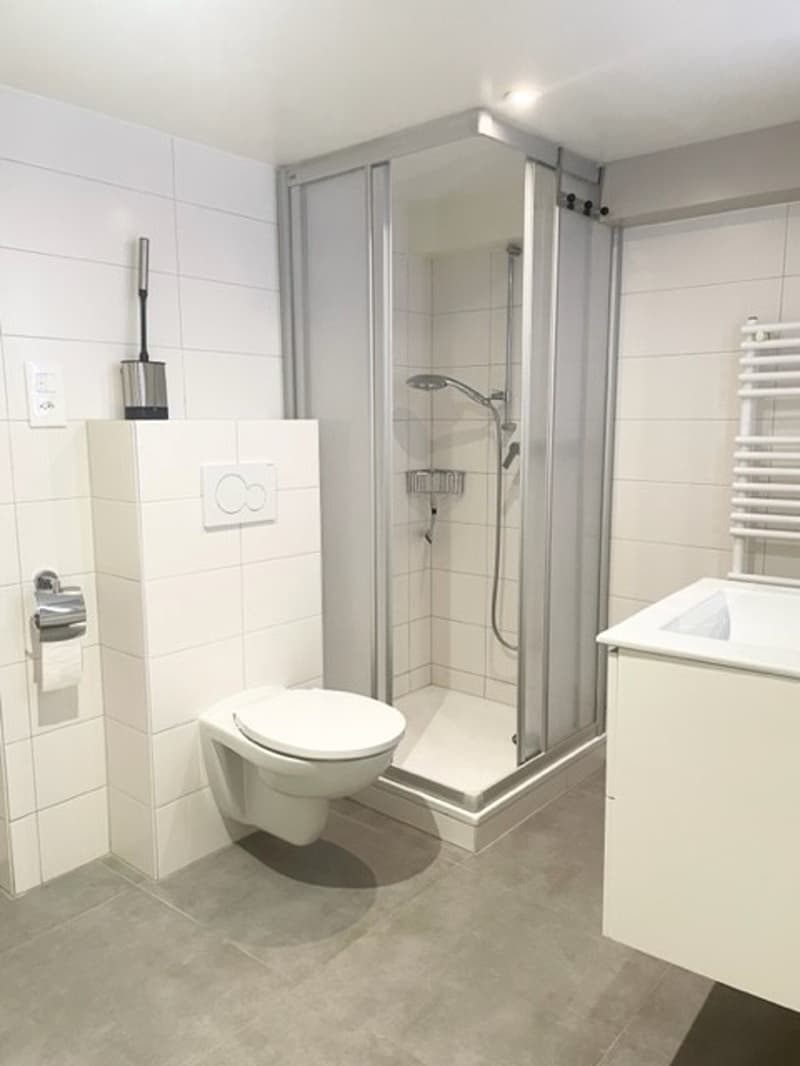 Joli appartement de 2,5 pièces, très bien situé (6)