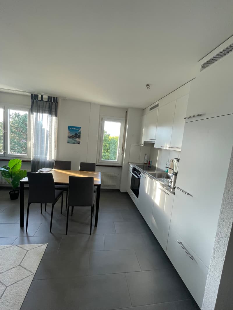Bel appartement de 2 pièces situé au 4ème étage avec ascenseur (2)