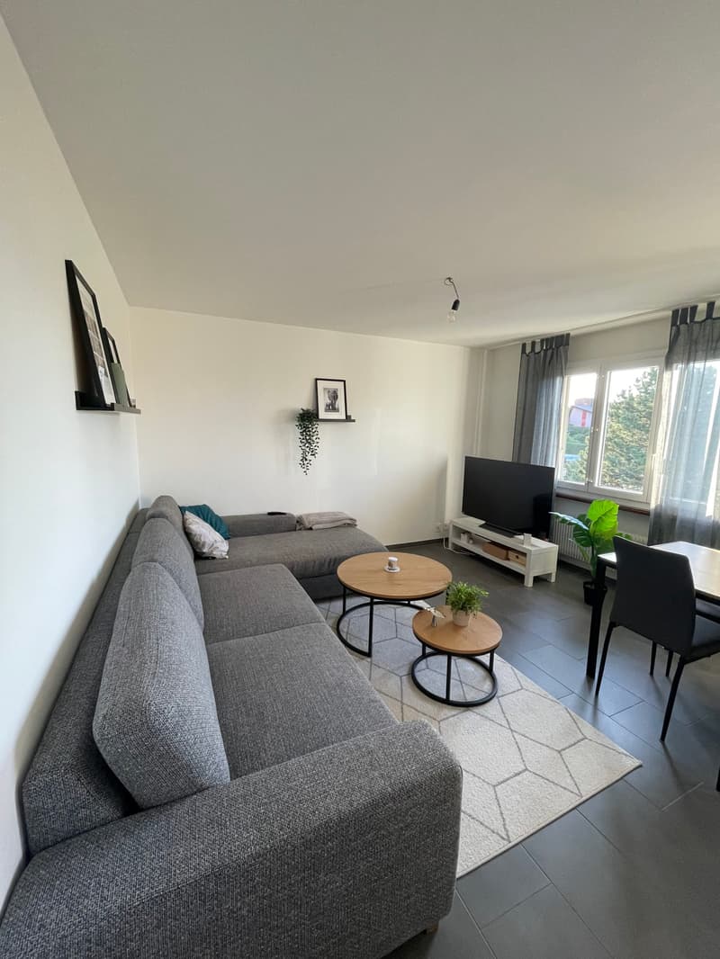 Bel appartement de 2 pièces situé au 4ème étage avec ascenseur (3)