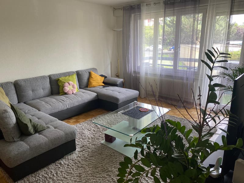 Appartement de 3.5 pièces situé au 1er étage (1)