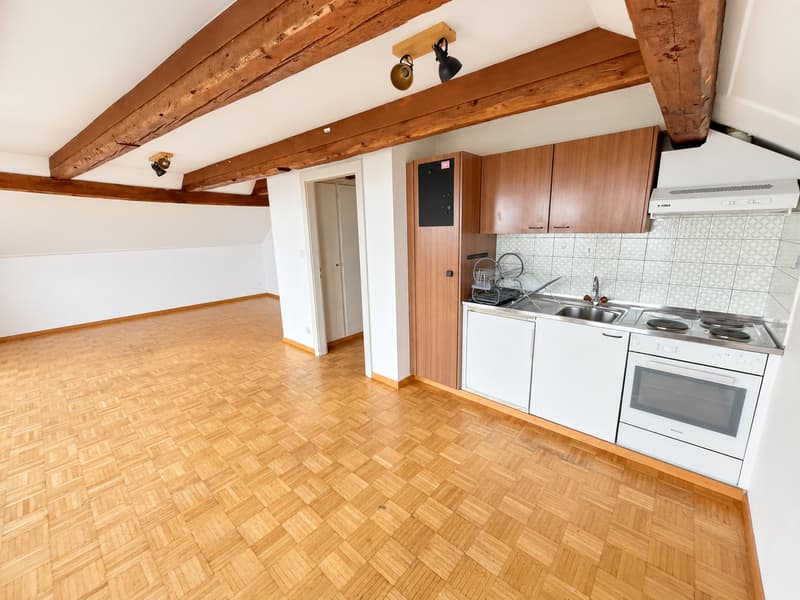 Appartement de 2 pièces situé à proximité du château de Cormondrèche (4)