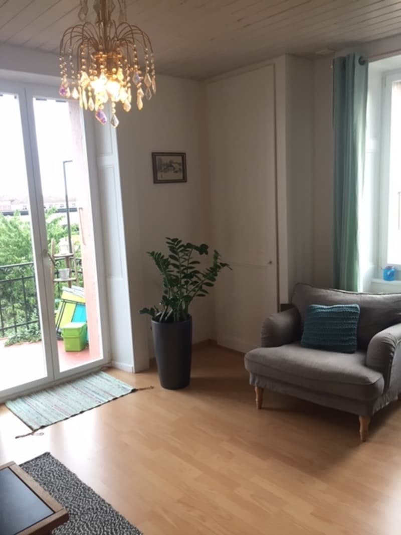 Appartement de 3 pièces idéalement situé (2)