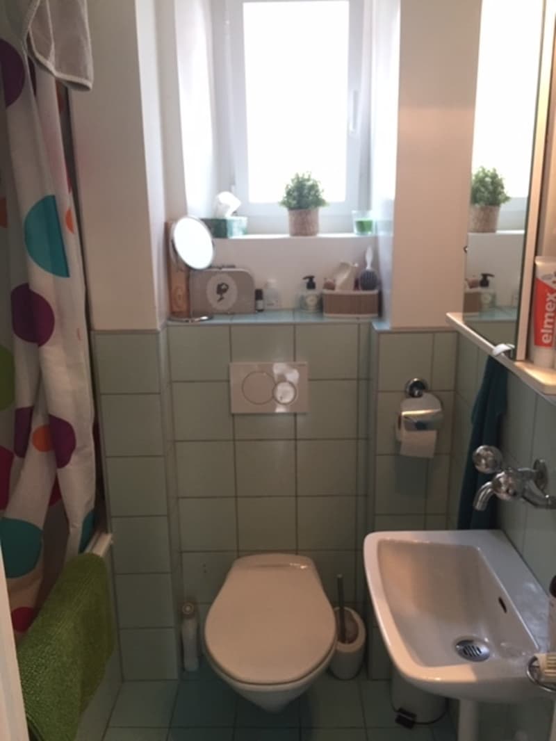 Appartement de 3 pièces idéalement situé (6)