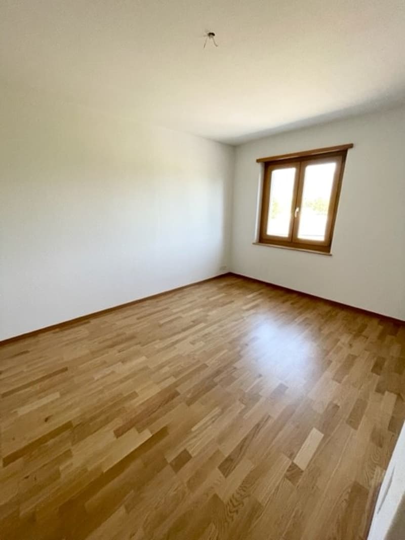 Charmants appartements de 4 pièces avec cheminée et balcon (7)