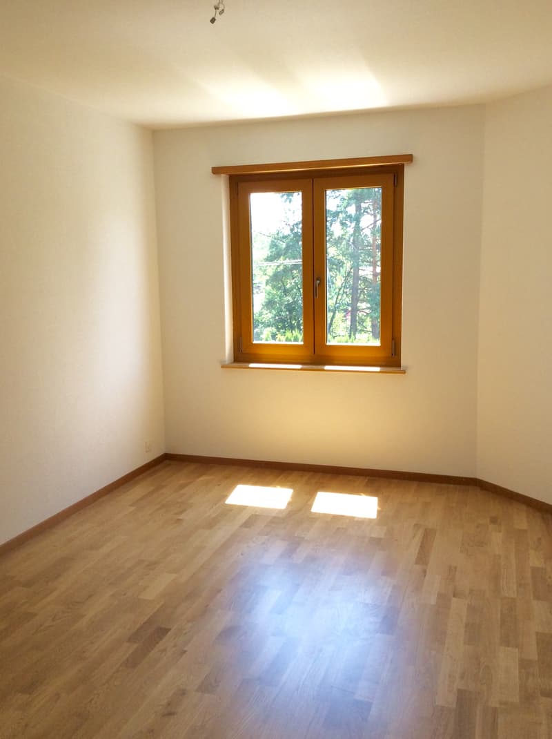 Charmants appartements de 4 pièces avec cheminée et balcon (8)