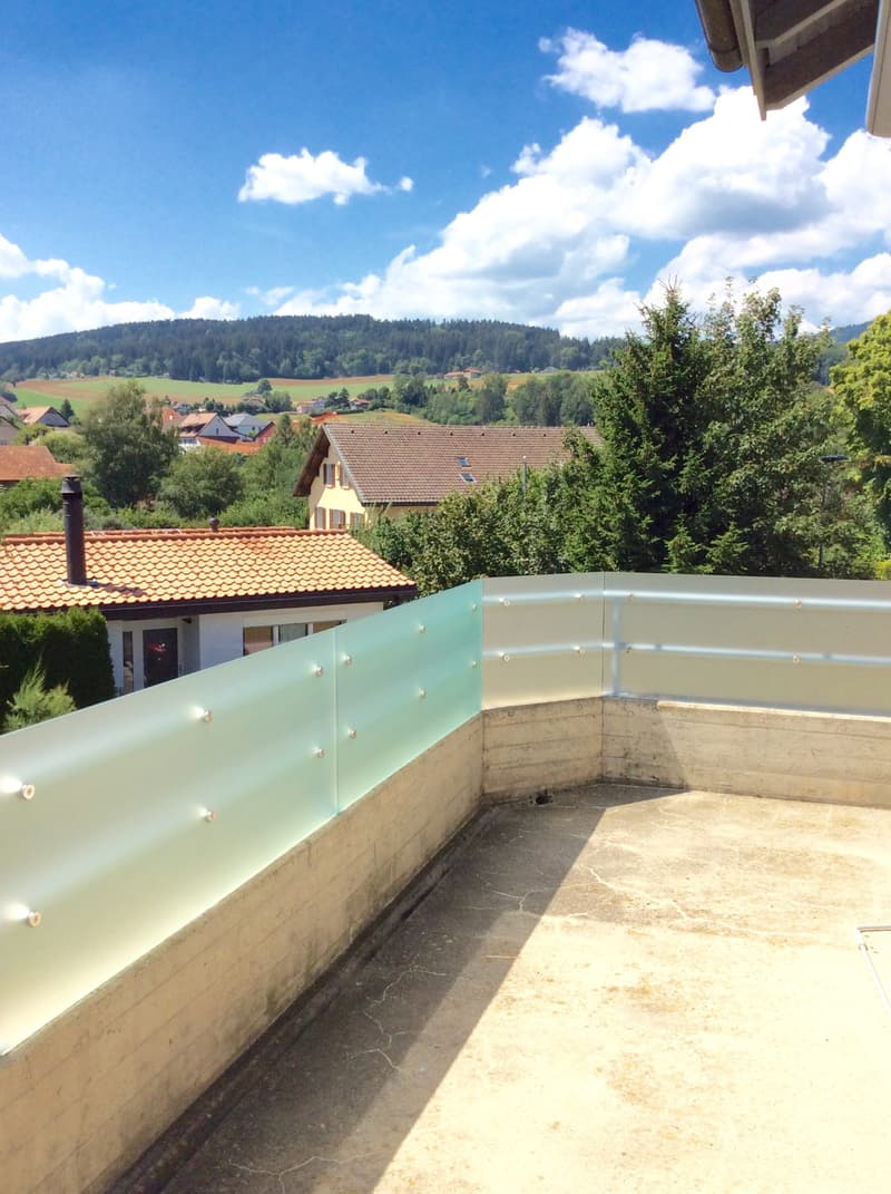 Charmants appartements de 4 pièces avec cheminée et balcon (12)