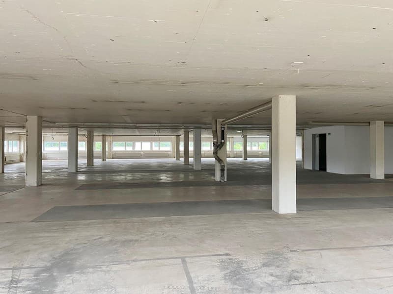 Propriété commerciale à Höri (4)