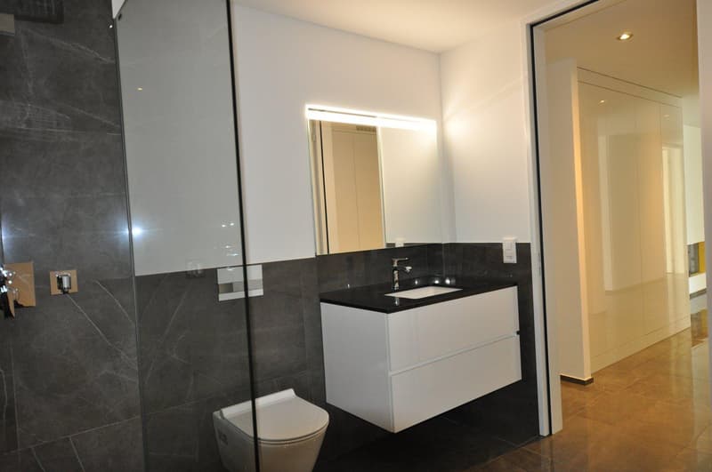 Exklusive, lichtdurchflutete Wohnung mit luxuriösem Innenausbau und hochwertigen Materialien (7)