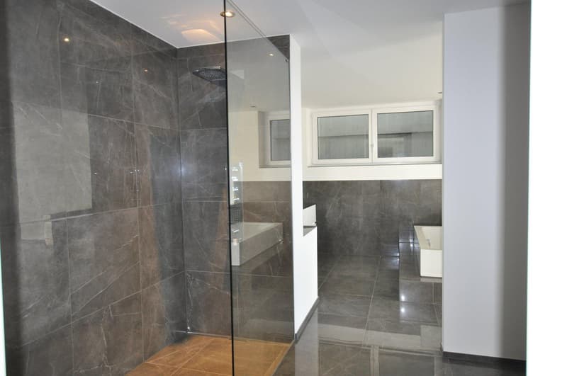 Exklusive, lichtdurchflutete Wohnung mit luxuriösem Innenausbau und hochwertigen Materialien (6)