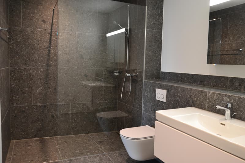 2.5 Zimmerwohnung in Bülach (4)
