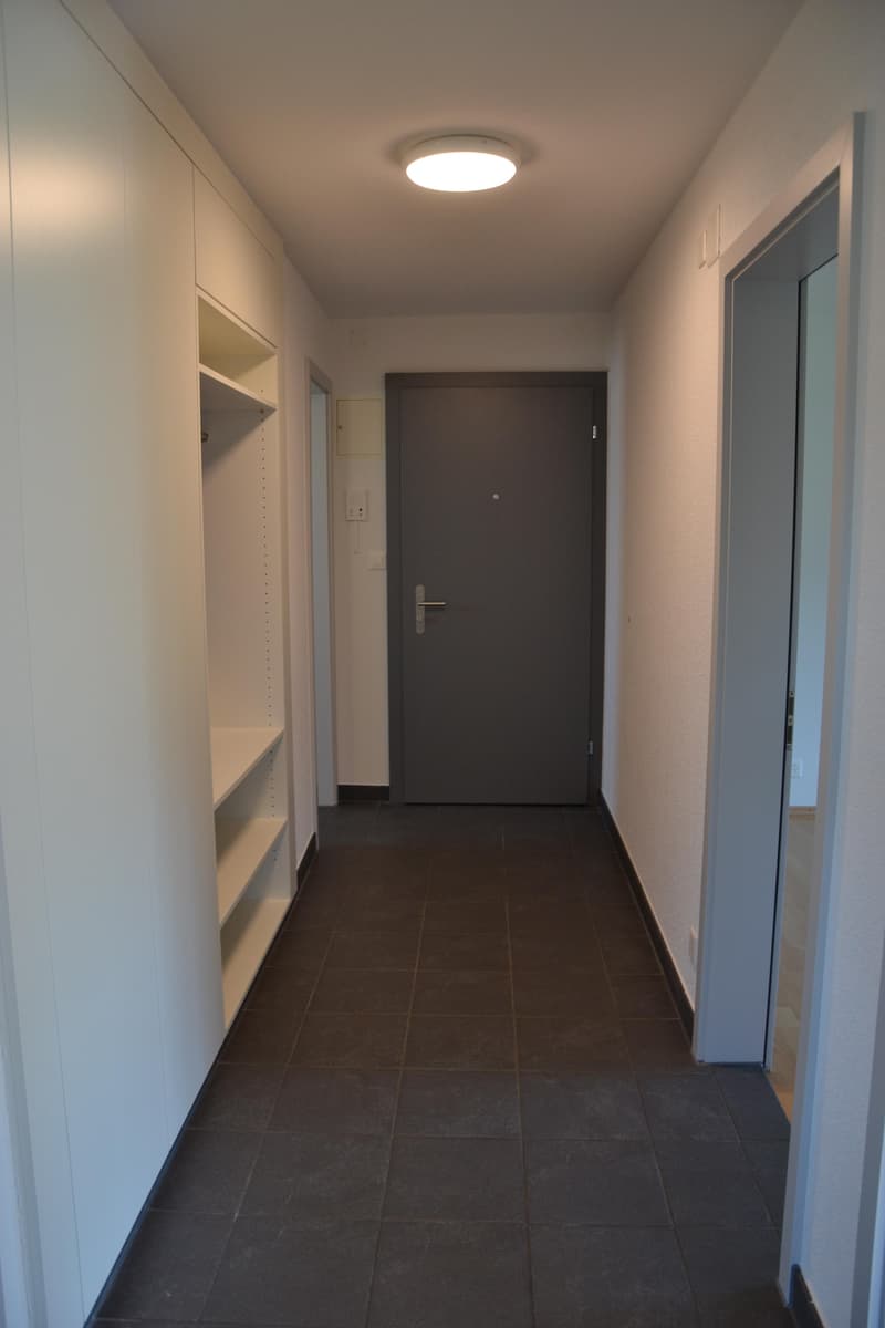 3 Zimmerwohnung in Feuerthalen (2)