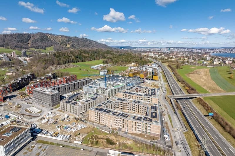 Luftbild Areal Höfe mit Blick auf den Uetliberg und Zürichsee