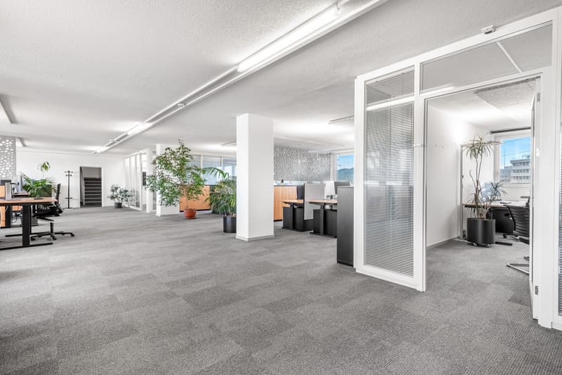 modern office space, with gray carpet, large windows, plants, white and brown desk, black swivel chairs, LED lighting on ceiling