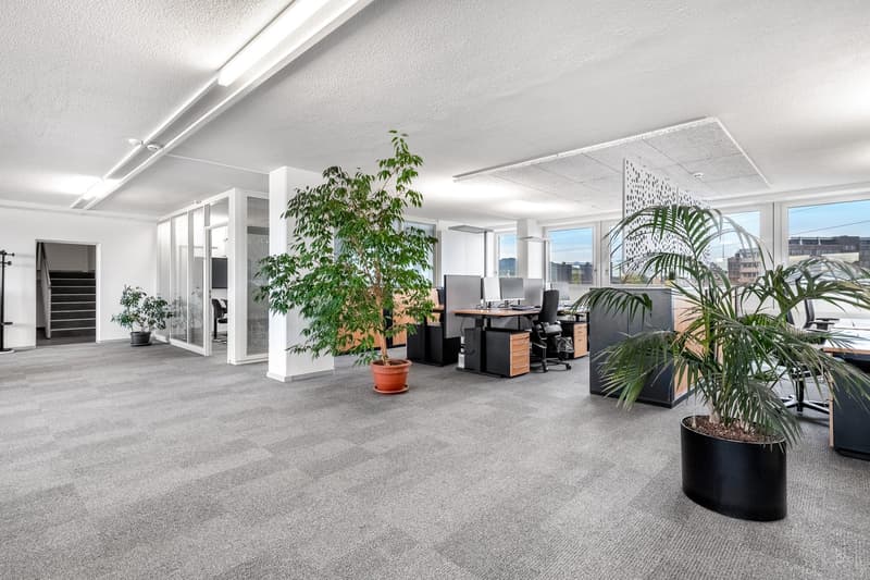 Open office layout, carpeted floor, glass walls, large windows, desks, monitors, chairs, plants, white walls, ceiling lights
