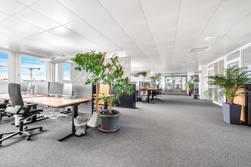 modern office with carpet, desk, office chairs, plants, lamps, ceiling lights, large windows, glass door