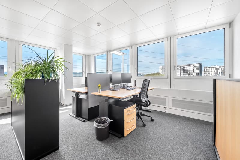 office furniture, desks, monitors, plants, trash can, carpet, glass windows, view