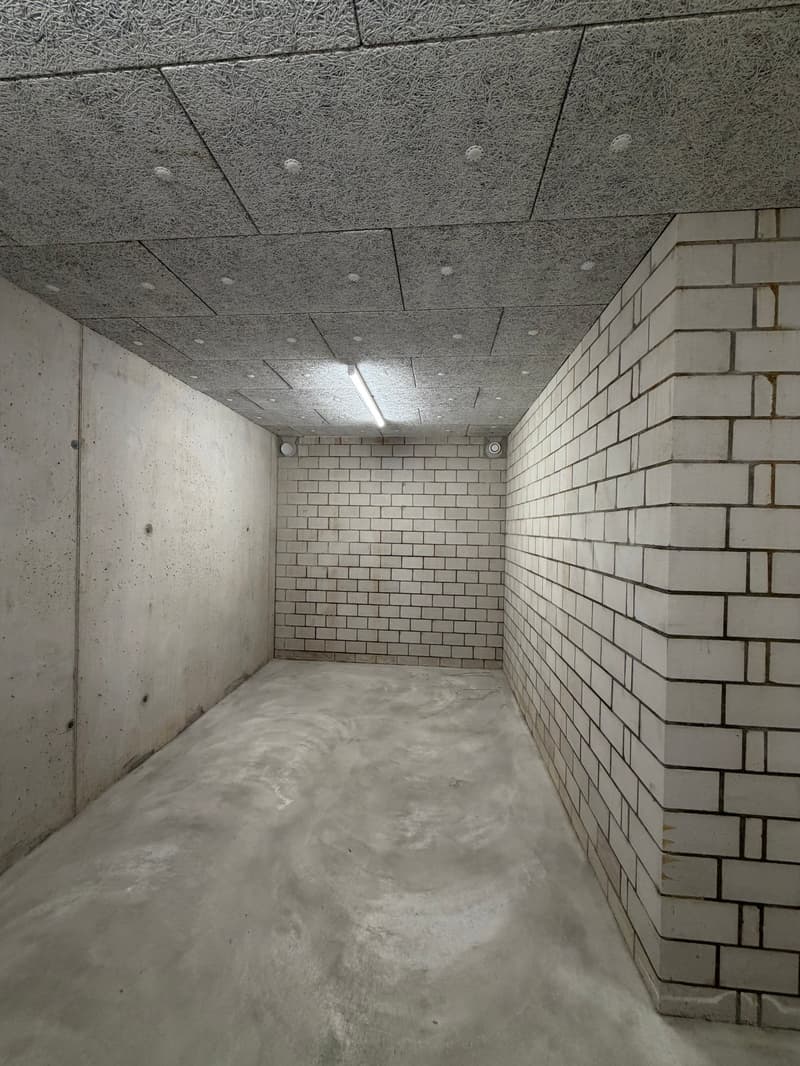 Moderner Hobbyraum in Adliswil – sofort verfügbar (6)