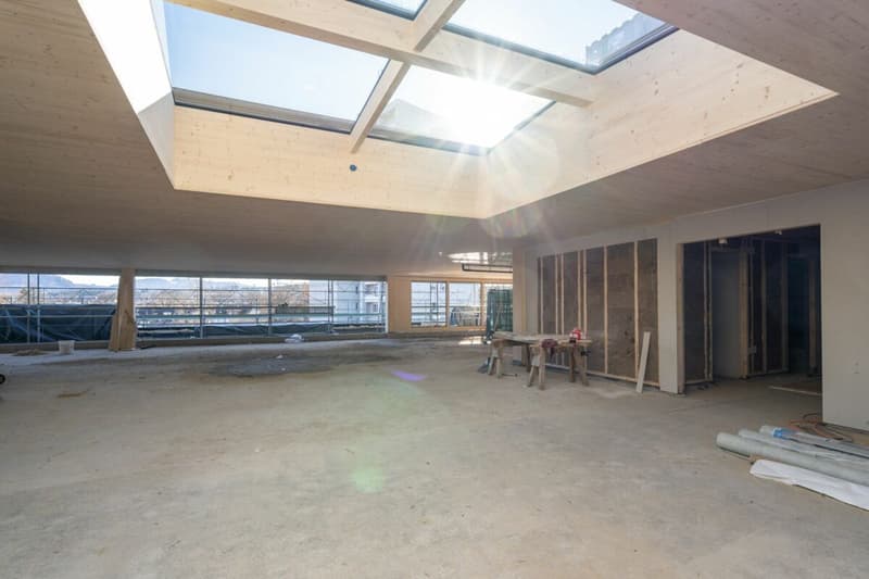 Nouveau parc commercial NEUHUUS - Espaces de bureau sur mesure (3)