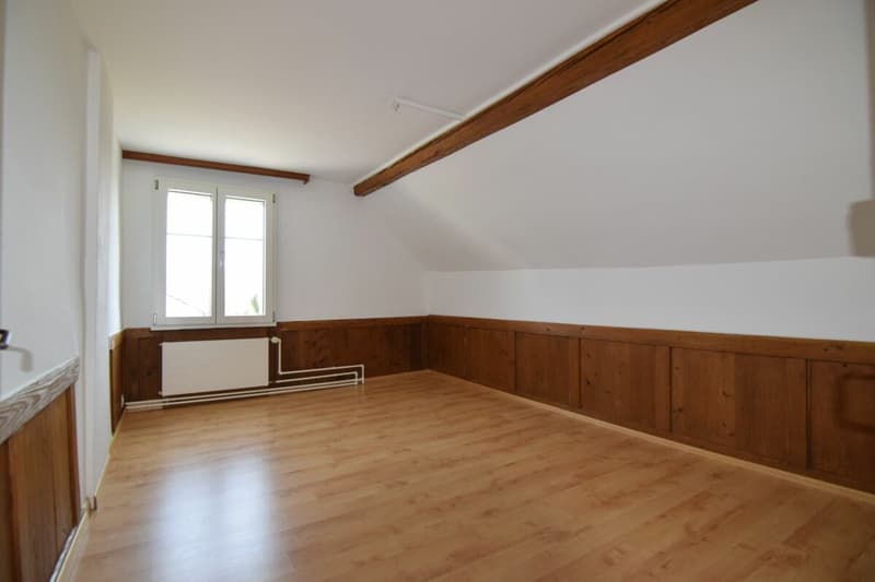 Cozy old building apartment in a rural setting (3)