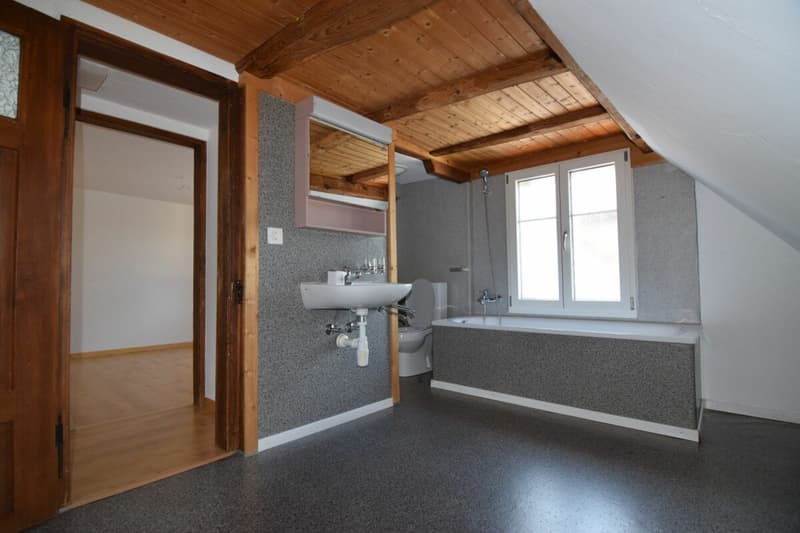 Cozy old building apartment in a rural setting (7)
