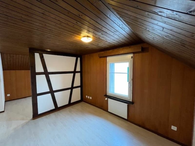 Cozy old building apartment in a rural setting (6)