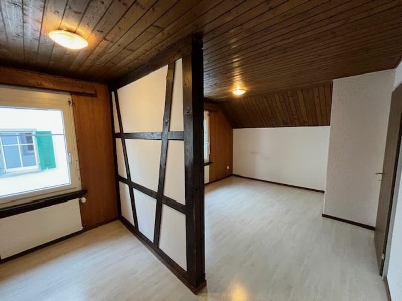 Cozy old building apartment in a rural setting (8)