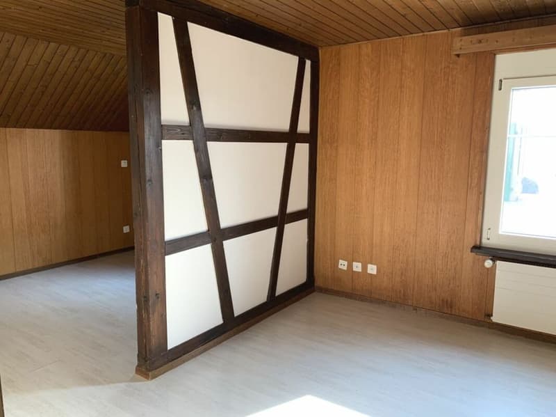 Cozy old building apartment in a rural setting (5)