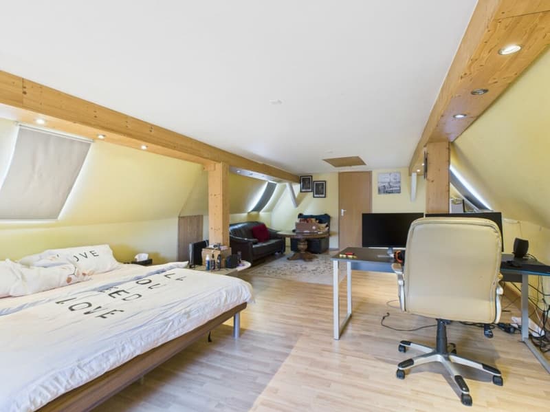Freistehendes 8.5-Zimmer Einfamilienhaus mit Panoramawintergarten (8)
