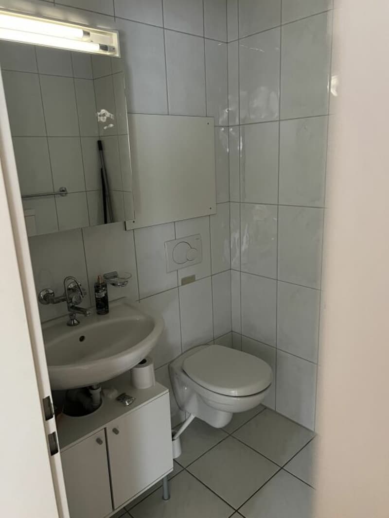 4.5 - Zimmerwohnung mit Charme und Komfort (12)
