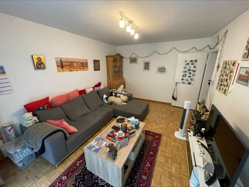 Familienfreundliche 4 Zimmerwohnung (5)