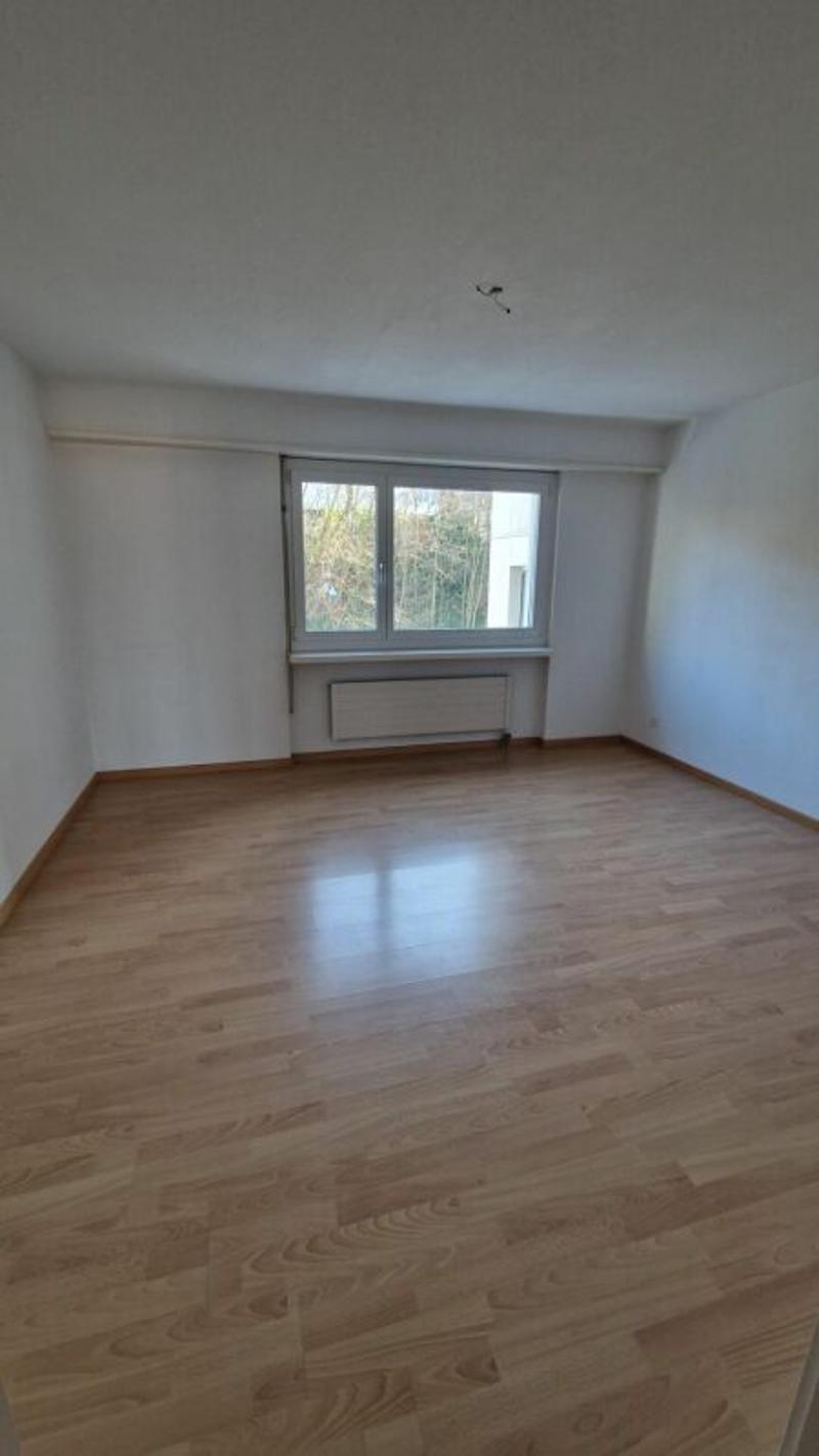2.5 Zimmerwohnung mit Charme (5)