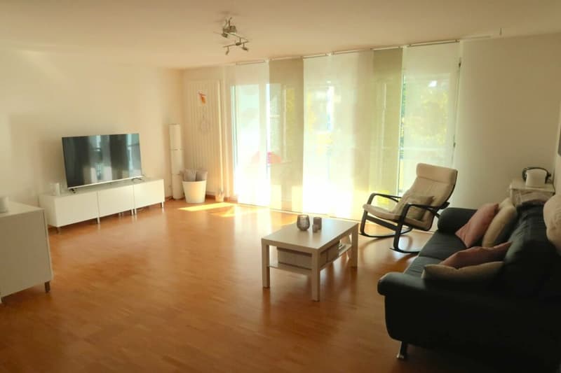 Helle 4.5-Zimmer-Familien-Wohnung (2)