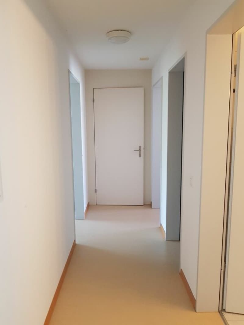 Helle 4.5-Zimmer-Familien-Wohnung (11)