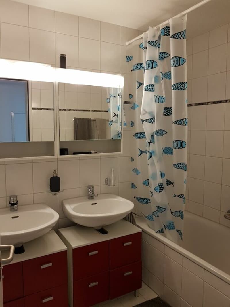 Helle 4.5-Zimmer-Familien-Wohnung (8)