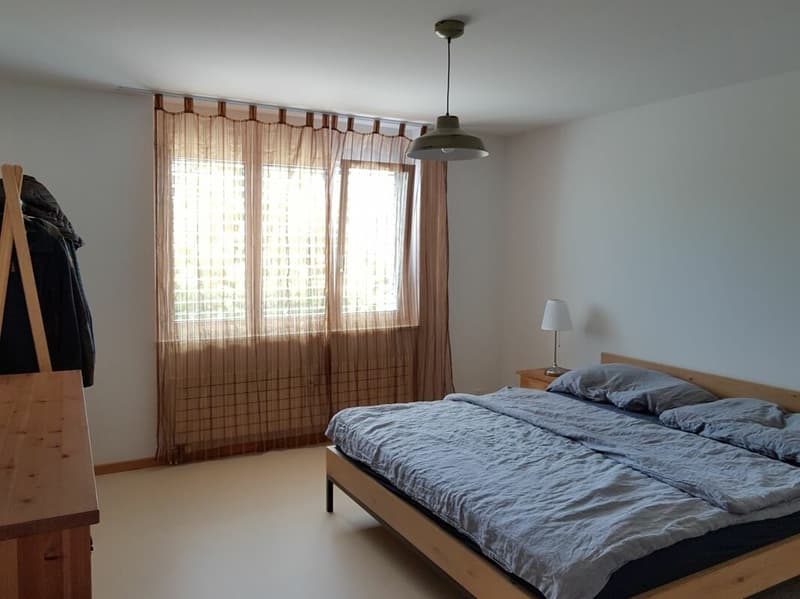 Grosszügige 5.5-Zimmer-Familien-Wohnung (3)
