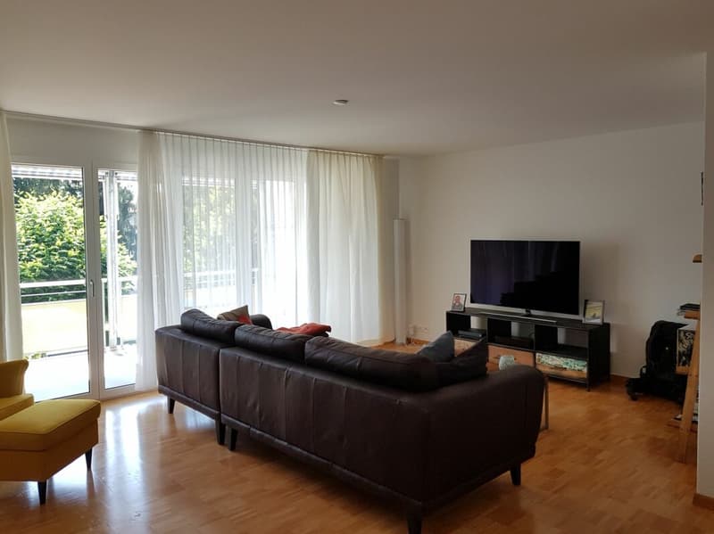 Grosszügige 5.5-Zimmer-Familien-Wohnung (2)