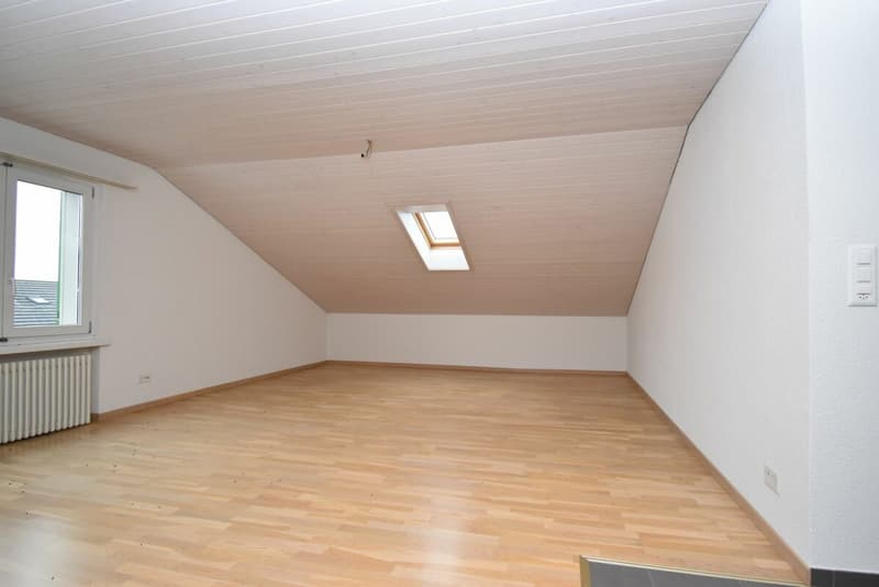 Wohnzimmer / Schlafzimmer