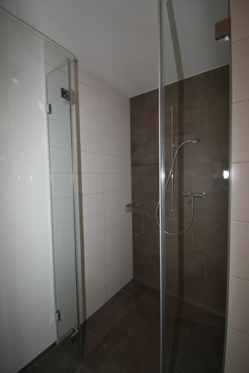 Moderne 3.5-Zimmerwohnungen im Erdgeschoss (5)