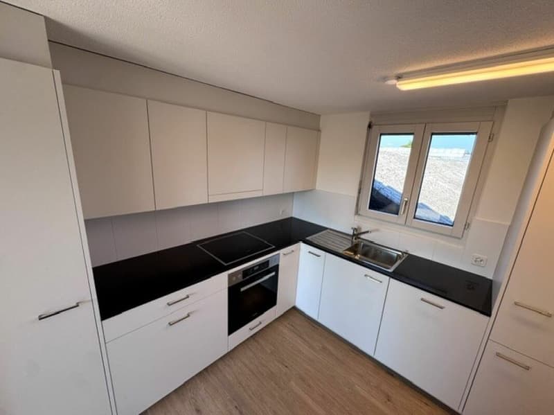 Teilsanierte 4.5-Zimmer Familienwohnungen, Nebenkosten inkl. (5)