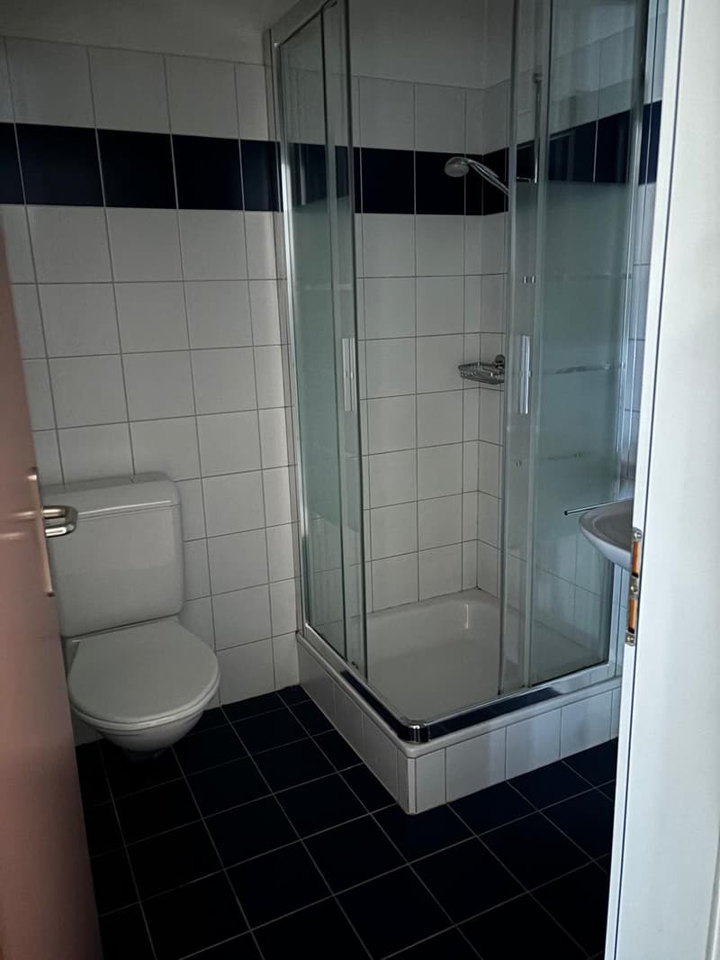 The image shows a bathroom with a glass shower enclosure, a toilet, and a sink. The bathroom has white and black tile walls and a black tile floor.