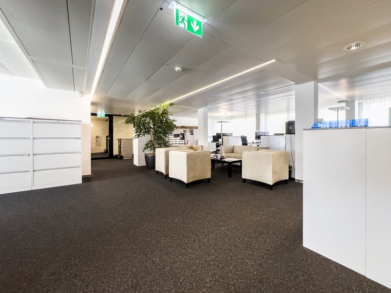 white ceilings, carpeted floor, white cabinets, beige couches, large plant, emergency exit sign