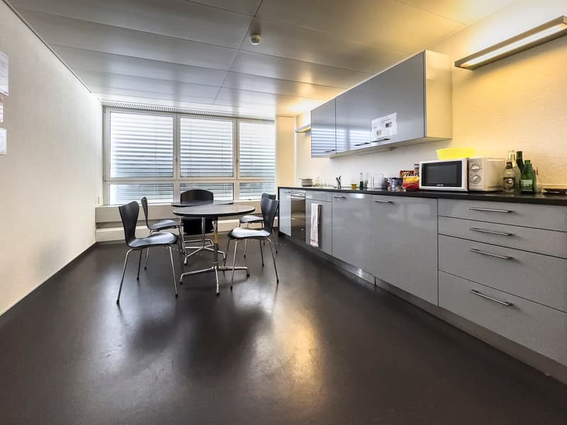 modern equipped kitchen, table, chairs, cabinets, microwave, sink, dishwasher, counter