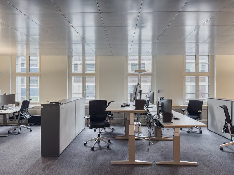 Open office space with multiple desks, chairs, and computer equipment. Large windows provide natural light. Carpeted floor and suspended ceiling tiles. Adjustable height desks and ergonomic office chairs.