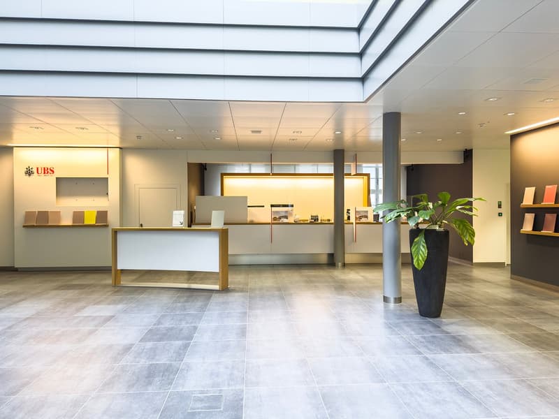 Spacious lobby with a reception desk, shelves, and a large potted plant. The floor is tiled, and the ceiling has recessed lighting. The overall design is modern and minimalist, with a clean and professional appearance.