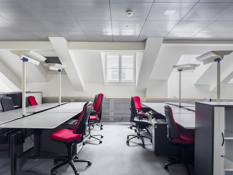 Spacious office with gray and white color scheme, multiple workstations with red office chairs, ceiling-mounted lighting, and a window providing natural light.