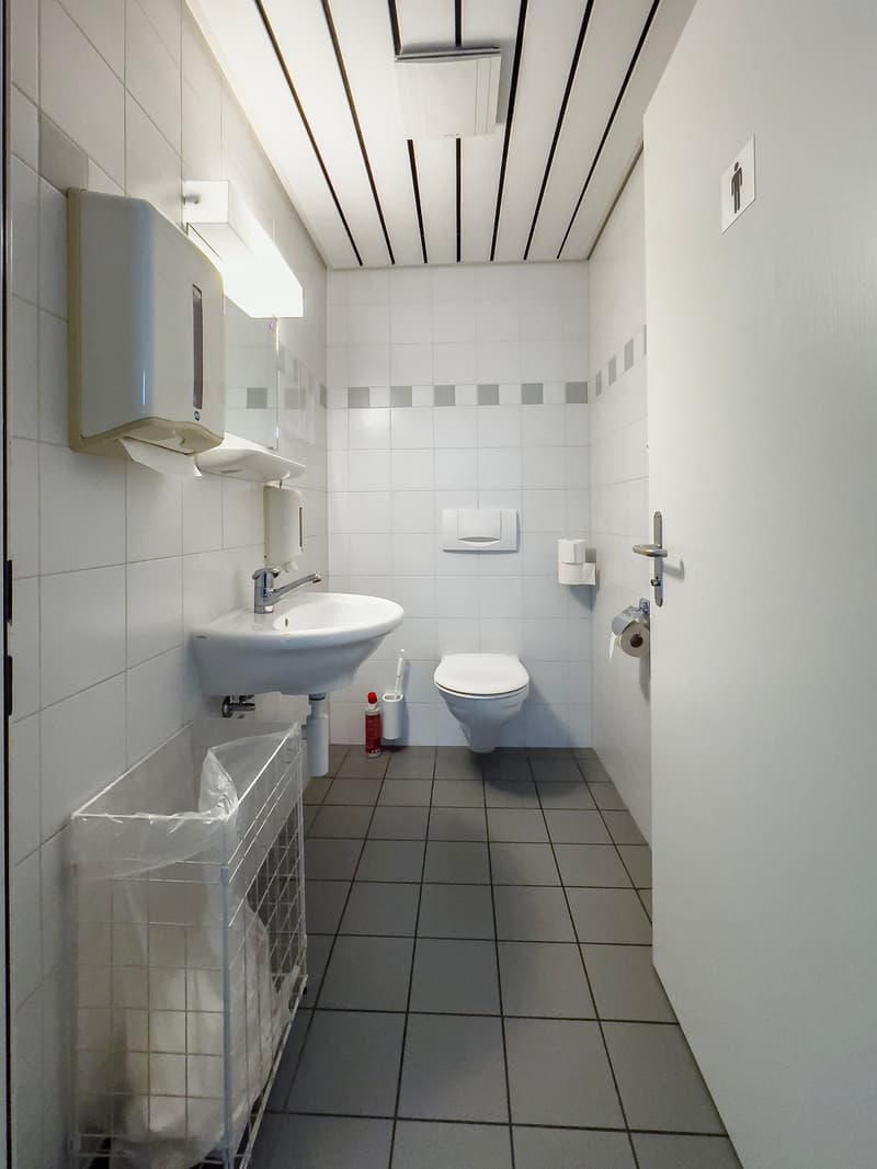 Tiled bathroom with a sink, toilet, and a washing machine. The ceiling has a black and white striped pattern.