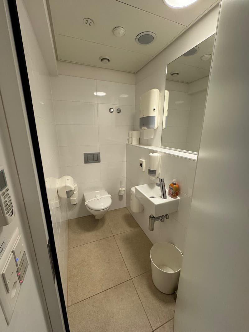 small bathroom with toilet, sink, and mirror