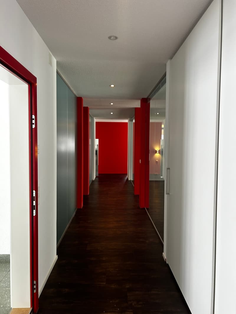 Aussergewöhnliche Designwohnung mit offenem Wohnkonzept im Herzen von Reinach (3)