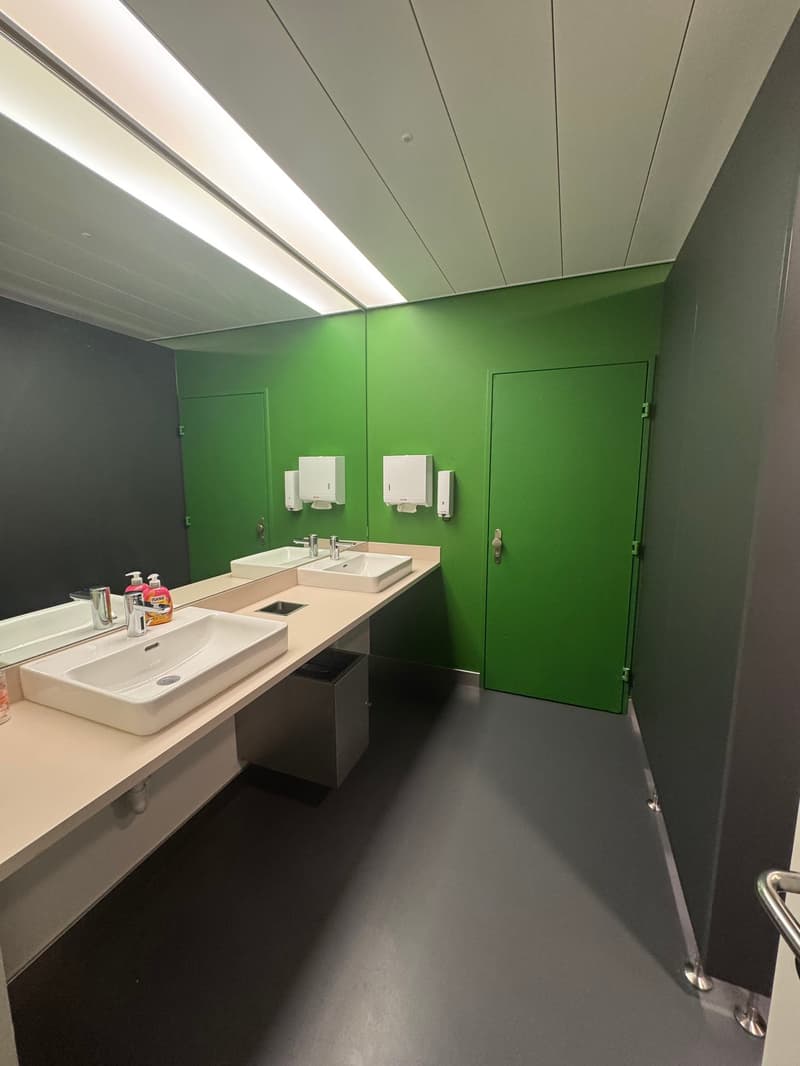 Large bathroom with green walls, white vanity with dual sinks, and a dishwasher visible on the counter.